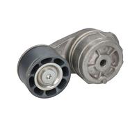 Galet tendeur, courroie d'accessoire DAYCO DAYAPV3046