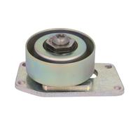 Galet tendeur, courroie d'accessoire Schaeffler INA 531 0306 10