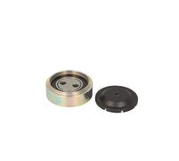 INA Galet tendeur courroie d'accessoire 531 0307 10 pour Audi VW Skoda