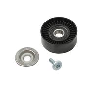 Galet tendeur, courroie d'accessoire Schaeffler INA 532 0648 10