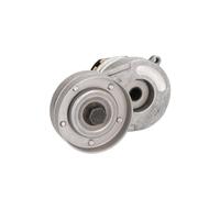 Ina Tendeur de courroie multi-cannelée 534 0082 30 pour OPEL CHEVROLET