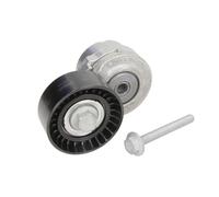 Galet tendeur, courroie d'accessoire Schaeffler INA 534 0101 20