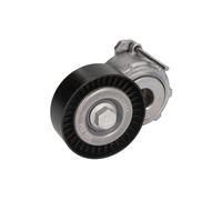 Galet tendeur, courroie d'accessoire Schaeffler INA 534 0110 20