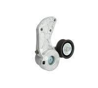 Ina Tendeur de courroie multi-cannelée 534 0307 10 pour VW, Audi, Porsche