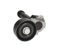 INA Tendeur de courroie 534 0422 10 – Galet tendeur multi-cannelé pour AUDI VW SKODA SEAT