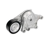 INA Tendeur de courroie multi-cannelée 534 0654 10 pour Citroën, Peugeot, DS, Opel
