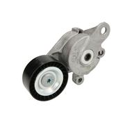 SKF Galet tendeur VKM 31042 – courroie d'accessoire