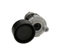 Galet tendeur, courroie d'accessoire SKF VKM 36138