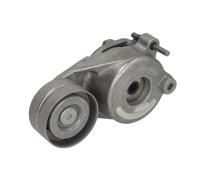 Galet tendeur, courroie d'accessoire SKF VKM 38075