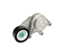 Galet tendeur, courroie d'accessoire SKF VKM 38227