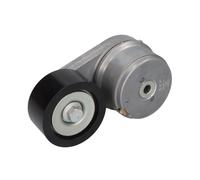 Galet tendeur, courroie d'accessoire SKF VKMCV 51073