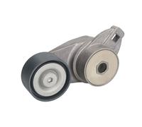 Galet tendeur, courroie d'accessoire SKF VKMCV 54005