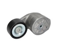Galet tendeur, courroie d'accessoire SKF VKMCV 56009
