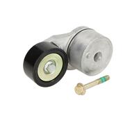 Galet tendeur, courroie d'accessoire SKF VKMCV 57009