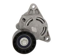 SNR Galet tendeur (courroie d'accessoire) 3413521341083 RENAULT MASTER