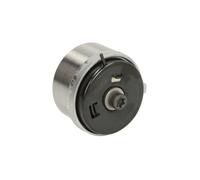 Galet tendeur, courroie de distribution Schaeffler INA 531 0779 10