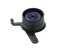 SNR GT373.10 Galet tendeur de courroie de distribution