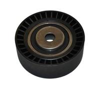 JP Group Poulie tendeur de courroie d'accessoire 1418301100 pour BMW E34/E36/E39/E53/E60/E61
