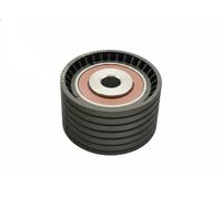 Galet tendeur de courroie de distribution FT44207 FAST pour RENAULT DACIA