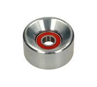 GALET TENDEUR DE COURROIE MULTIFR. FORD TRANSIT 00- 2.4DI METAL