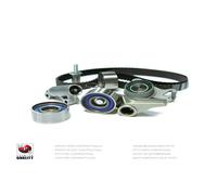 Galet Tendeur De Courroie Nps T113a59