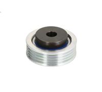 Galet tendeur de courroie Poly-V SKF VKM 66008 pour WAGON R+ (MA) 1 2001-2006