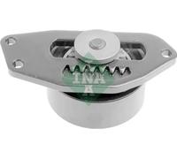 INA 531 0553 10 Poulie tendeur de courroie d'accessoire