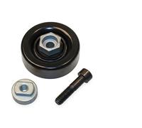 Galet tendeur de courroie trapézoïdale 531 0864 10 INA pour CHEVROLET SPARK