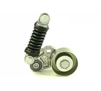 Galet tendeur de courroie trapézoïdale T1009 HUTCHINSON pour CITROËN PEUGEOT