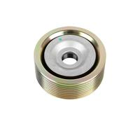 DT Spare Parts 3.34520 Galet enrouleur de courroie d'accessoire