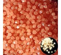 Galets De Décoration De Jardin,Pierres Lumineuses,Lueur Dans La Nuit,Extérieur,Aquarium,50/200 Pièces,8x11mm - Type Lx Orange-8x11mm 50pcs