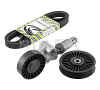 Jeu de courroies trapézoïdales collectées