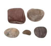 Galets de Rivière Naturels 500g pour Aménagement Extérieur et Jardin | Textures Naturelles Uniques, Ton Chaud et Régulier, Résistance aux Intempéries, Pose Facile pour Allées Couleur Aléatoire