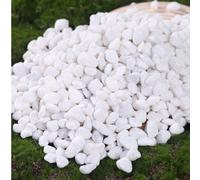 Galets décoratifs blancs, convenant pour le jardin et la maison - 0,3-3 cm, convenant pour les plantes d'intérieur, les paysages extérieurs et les décorations de fête - convenant pour les patios, les 