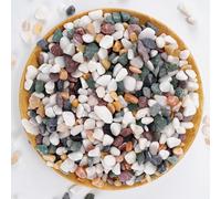 Galets décoratifs naturels polis pour terrarium,Pierres blanches avec accents pastels rouge, vert et jaune,Pierres d'aquarium de couleurs mélangées,Accessoires de jardin pour bonsaï en pot,1 kg