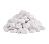Galets polis décoratifs - vidaXL - Blanc - 2-5 cm - 25 kg - Pierres naturelles - Surface lisse - Paillage jardin
