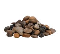 vidaXL Galets polis multicolores – Pierres naturelles, surface lisse, 2–5 cm, 10 kg