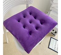 Galette de Chaise DéHoussable 40 X 40, Coussins de Chaise D'Inta Rieur, Coussin Chaise Cuisine avec Liens, Double-Sides Non-Boulochage Coussins Salon de Jardin Exterieur