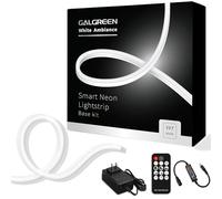 Galgreen Corde lumineuse néon de 5 m avec adaptateur certifié UL et télécommande à 11 touches à intensité variable, 12 V CC étanche, flexible en silicone, pour panneaux néon, décoration intérieure et