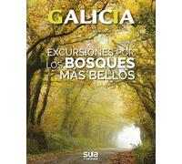 Galicia - excursiones por los bosques mas bellos