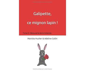 Galipette ce Mignon Lapin: Découverte de la Hollande