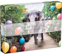 GALISON Puzzle double face Gray Malin sur Parker 500 pièces