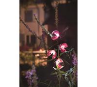 Galix Décoration solaire: coccinelle clipsable, un éclat porte-bonheur à suspendre dans vos feuillages