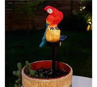 Galix Perroquet solaire avec pied