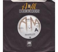Gallagher & Lyle - BREAKAWAY 7 INCH (7" VINYL 45) UK A&M 1976