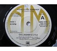 Gallagher & Lyle - Every Little Teardrop