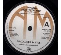 Gallagher & Lyle - I Wanna Stay With You - Solid