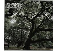 Gallagher'S,Noel High Flying Birds - Dying of The Light [Import]