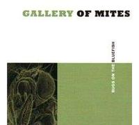 Gallery Of Mites - Bugs On A Bluefish