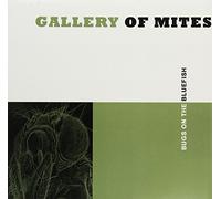 Gallery of Mites - Bugs on The Bluefish